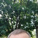 ���� ��������, ������, 53 ���� - ��������� 9 ������ 2025 � ������ ���� ����������