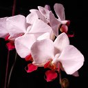 ���� �������, ������ - ��������� 14 ������� 2025 � ������ ���� �������