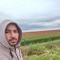 , 32, 