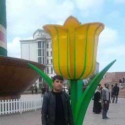  , 32, 