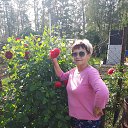  Laima...,  -  24  2024    