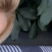 ���, 24 ����, �����