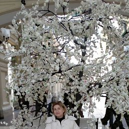 ���� ������, ������ - ��������� 21 ������� 2025