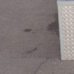 ������� ��������, �����������, 52 ����