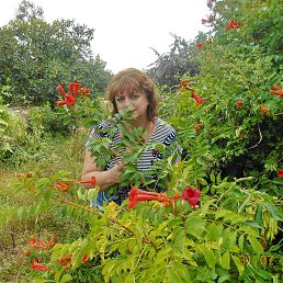Galina, ������-��-����
