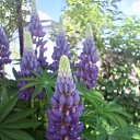 ���� ������, ��������������, 53 ���� - ��������� 30 ���� 2025 � ������ �����