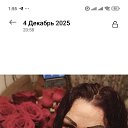 ���� ���, ������, 45 ��� - ��������� 8 ����� 2026 � ������ ���� ����������