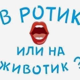 ���� ���������, ������, 39 ��� - ��������� 15 ���� 2026