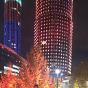 ���� �����, ������������, 26 ��� - ��������� 8 ����� 2026 � ������ ���� ����������