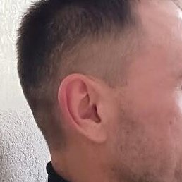 ������, ���������, 38 ���