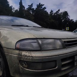 ������, �����������, 31 ���