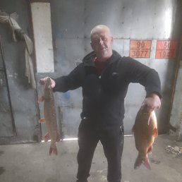 ���� ������, �����-���������, 43 ���� - ��������� 25 ������� 2023