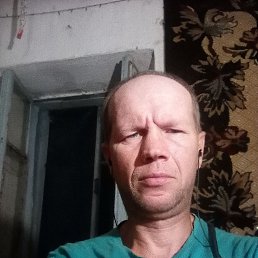  , 44, 
