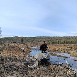 ���� ������, ������, 44 ���� - ��������� 27 ������ 2026