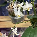 ���� �������, ������ - ��������� 14 ������� 2025 � ������ ���� �������