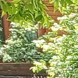 �����, �����, 18 ���