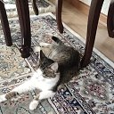 ���� �����, ������, 48 ��� - ��������� 3 ������� 2023 � ������ ���� ����������