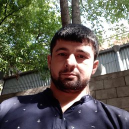 , 37, 