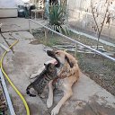 ���� ���������, ������, 65 ��� - ��������� 28 ������ 2025 � ������ ������ ��������