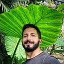 ���� ������, ������, 37 ��� - ��������� 31 ����� 2026