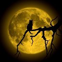 ���� ������, ������ - ��������� 17 ������ 2025 � ������ ������ ��������