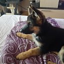 ���� ���, ������ - ��������� 17 ������ 2025 � ������ �������