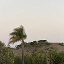 ���� Eva, ������, 45 ��� - ��������� 20 ���� 2026 � ������ ���� ����������