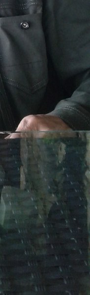 �����, ������, 55 ���