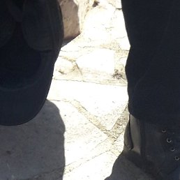 ���������, �����, 51 ���