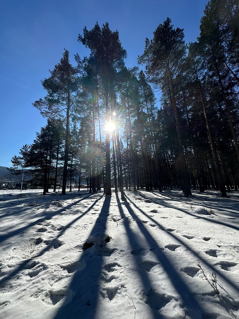 �ec������a a�ac��. ������� �o����, �paco�a �ec�o�o �apc��a. �ap�ca e���e�a - 9