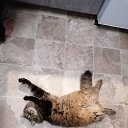 ���� ��������, ���������, 45 ��� - ��������� 17 ������ 2025 � ������ ������ ��������