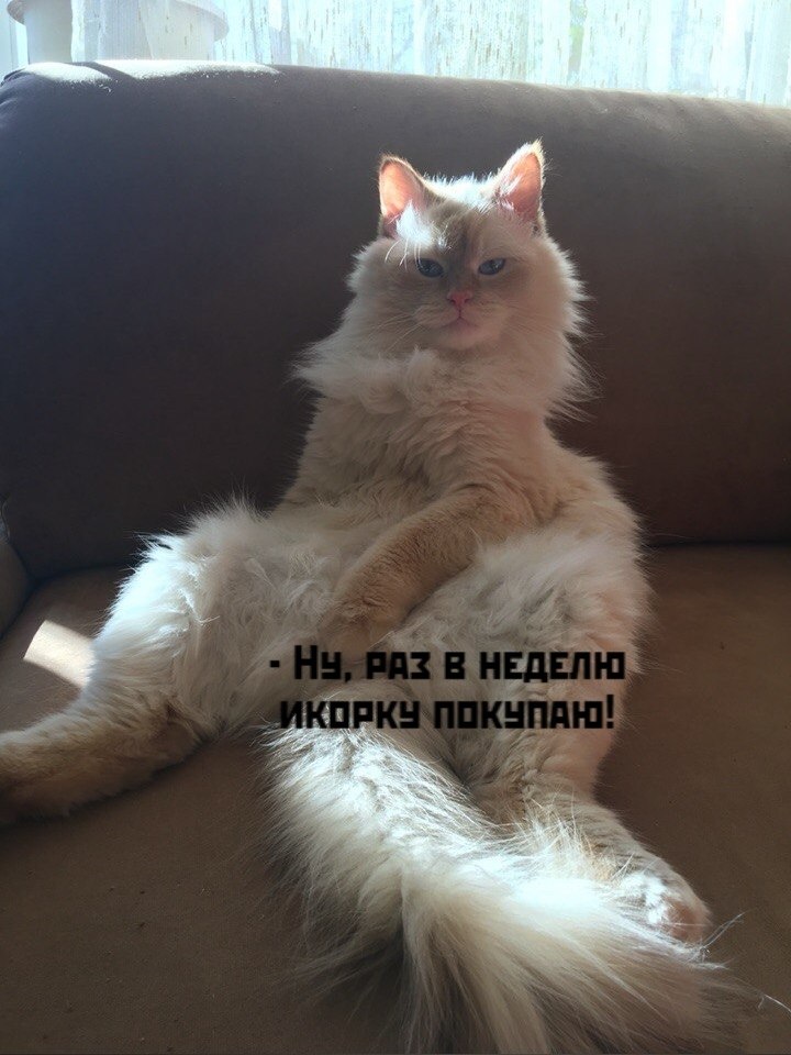 ��� ���� � ����� �� �� - 5 ������ 2026 � 17:25 - 2