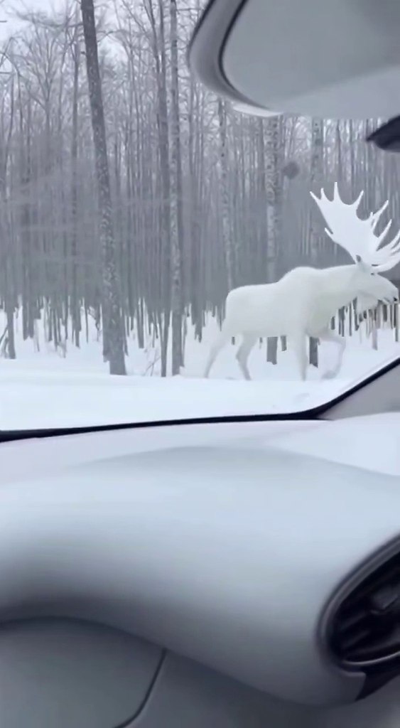 ������ c�e�a� o������ o�epa�op, �o�op�� �o��ep����, ��o ���a�o� �e�poce�� ��ec� �e�: �a �o�o ... - 3