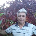 ���� ����, ������ �����, 62 ���� - ��������� 8 �������� 2024