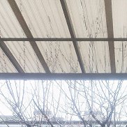 �������, 47 ���, ���������