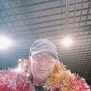 ���� Anrey, ������-��-����, 54 ���� - ��������� 15 ������� 2024 � ������ ���� ����������