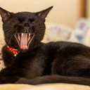 ���� �����, ������, 44 ���� - ��������� 18 ������ 2026 � ������ ���� ����������