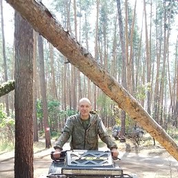 , 37, 