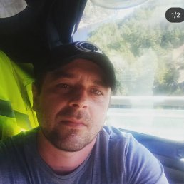���� ϸ��, ������, 40 ��� - ��������� 10 ������� 2025