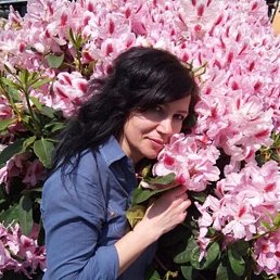 �������, �����-���������, 54 ����