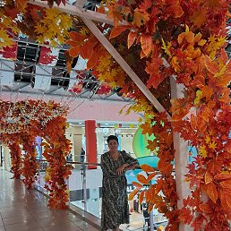 �������, ���������, 46 ���