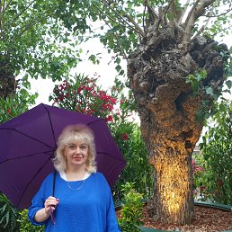 ���� ����, ������, 54 ���� - ��������� 27 ���� 2025