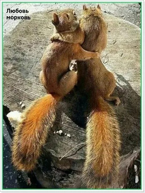 ☆������ �����☆ - 18 ������ 2025 � 16:10