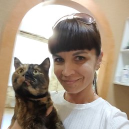 ����, ������ ��������