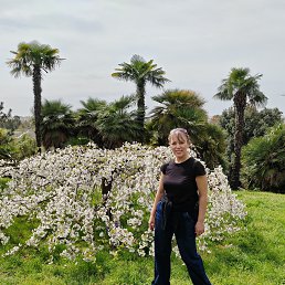 ���� ����, �������, 44 ���� - ��������� 7 ������ 2026