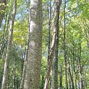 ���� ��������, ���������, 54 ���� - ��������� 6 ������� 2025 � ������ ���� ����������