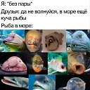 ���� �����, �������, 54 ���� - ��������� 9 ���� 2026 � ������ ������ ��������