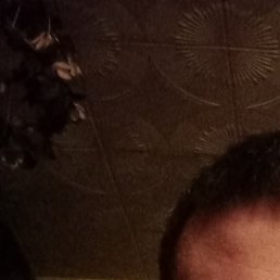 �����, �������, 43 ����