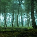 ���� �����, ������, 33 ���� - ��������� 18 ������� 2025 � ������ ���� ����������