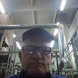 , 52, 